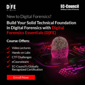 Digital Forensics Essentials (DFE)
